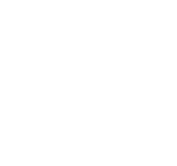 Logo FFPV